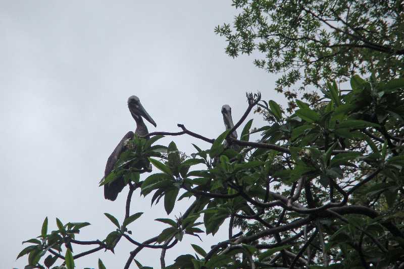 Mexico & Guatemala 2010 - 0375